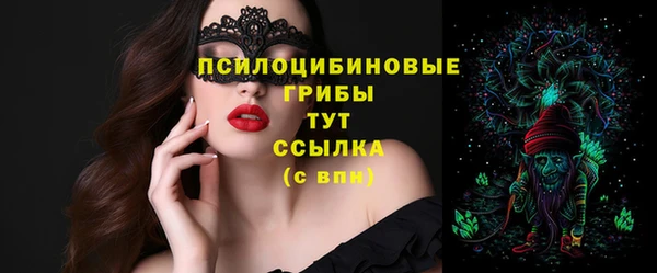 индика Красноперекопск