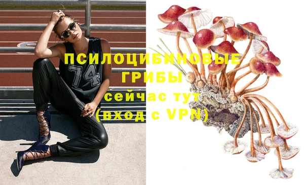 индика Красноперекопск