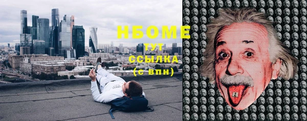 индика Красноперекопск