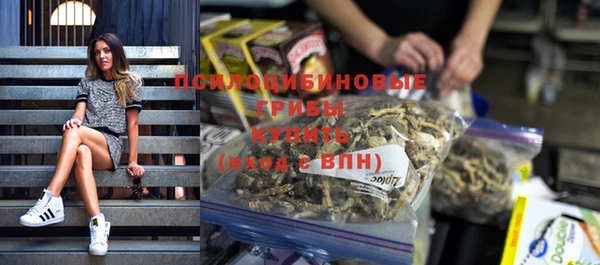 индика Красноперекопск