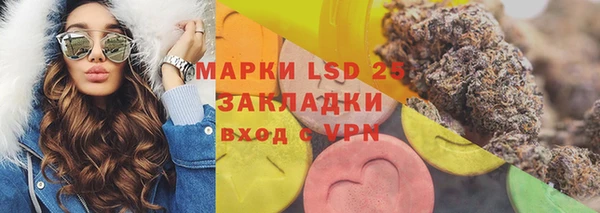 индика Красноперекопск